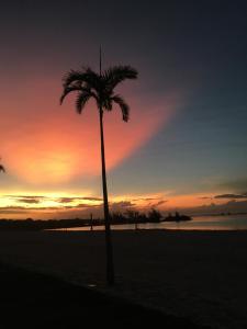 ARRAIAL Caribe Brasileiro