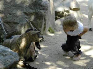 Appartement T3 avec terrasse et garage à 300 m de la plage, quartier Arago - FR-1-92-582
