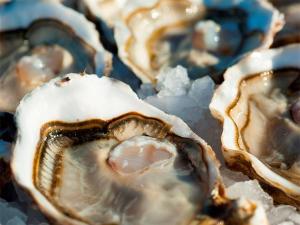 Charmant T2 Mezzanine, 4 Couchages, Clim, Terrasse, Piscine, Parking Privé - Marseillan - FR-1-326-387