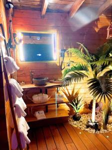Maisons de vacances Tropical Spa : photos des chambres