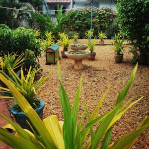 City Paradise Dambulla