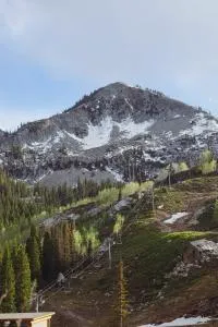 Big Cottonwood 2 Bedroom Brighton Chalet - Sugarplum Condominiums