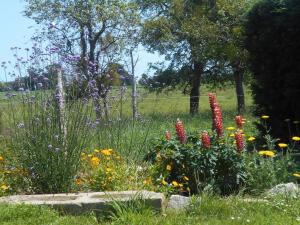 Maisons de vacances Rural spacious bungalow with pool : photos des chambres