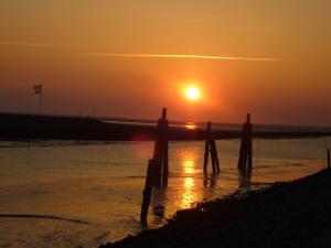 Ferienwohnung Esener Bär