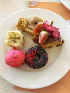 Hotel Hibiscus Tree- Bachupally