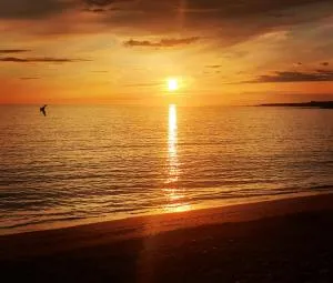 Atlantic Coast Lodge - Spanish Point