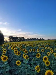 Cabaña El Encuentro - Cadret