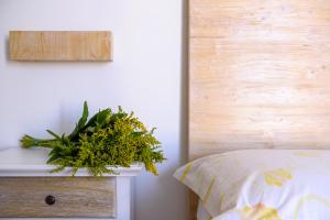 Villa Sofia Bed and Breakfast