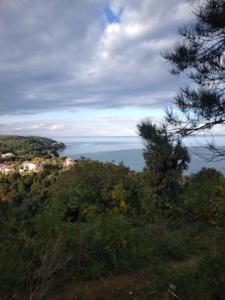 Villa Gialos Ηλέκτρα