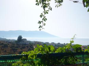 Apartments Jota Samos Greece