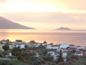 Apartments Jota Samos Greece