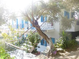 Apartments Jota Samos Greece