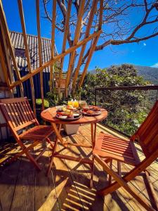 Casa 1800 Los Naranjos Boutique Hotel
