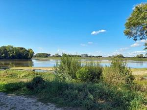 Maisons de vacances gite en bord de Loire : photos des chambres