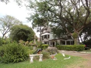 ROSA CORTIANA Escalera - Vila Nova do Sul