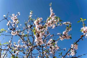 Casa Montjuïc Mare & Passione img40