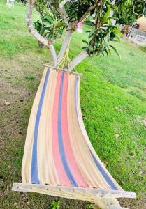 Casa Montjuïc Mare & Passione img26