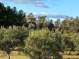 Piedra De Agua Chacra, casa, piscina, bosque, río. - 米纳斯