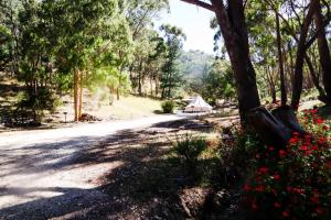 Golden Point Glamping