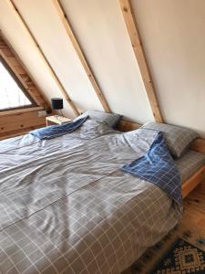 Log cabins Banjska stena