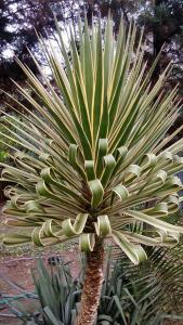 ALOJAMIENTO SERRANO BIS