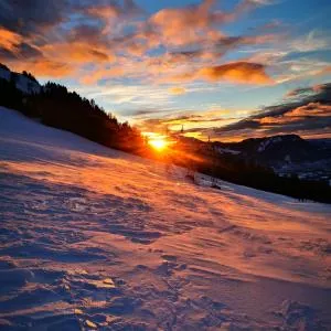 AlpseeGrünten - die Ferienwohnung - Schwanden