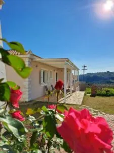 Vasilopoulos Estate - Armenoí