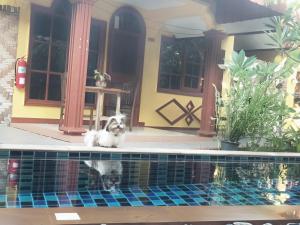 Ban Elephant Blanc Bungalow