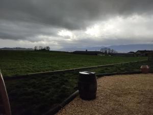 Villas Belle maison au calme a 20 min d'Annecy - Vaulx : photos des chambres