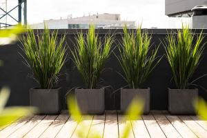 W Apartments Uus-Hollandi with sauna