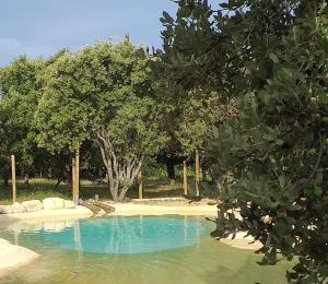 Maisons de vacances le penequet : climatise, piscine lagon au milieu des chenes : photos des chambres