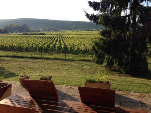 Maisons de vacances By les Climats - Gite du Tacot - Gevrey-Chambertin : photos des chambres