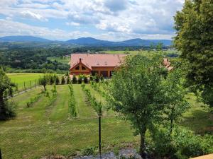 Fantastic View Vineyard Beskid Mountains