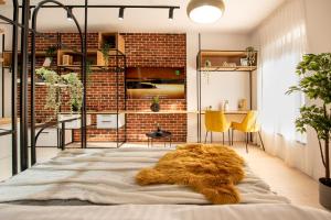 The White Queen - Amazing Central Studio with Dambovita View