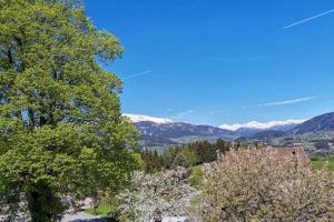 Ferienwohnung Bergblick