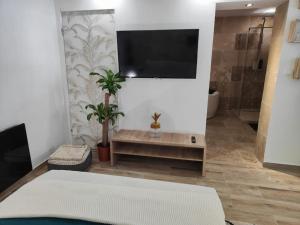 Appartements Zin and cocoon jaccuzzi : photos des chambres