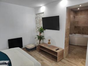 Appartements Zin and cocoon jaccuzzi : Appartement 1 Chambre