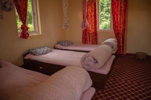 Hasera Organic Farmstay: Farm to Table & Mountain View