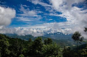 Hasera Organic Farmstay: Farm to Table & Mountain View