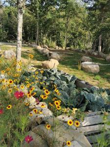 Campings Auvergne chalets Sancy : photos des chambres