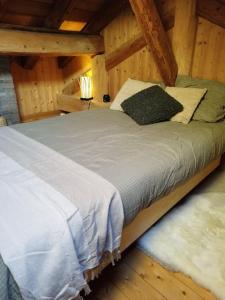 Appartements Joli cocon au pied des montagnes : photos des chambres