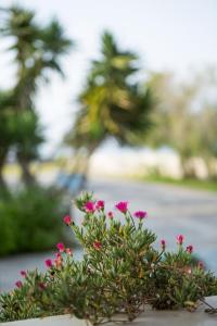 Greece Seaside villa 200sq m 20m from sea