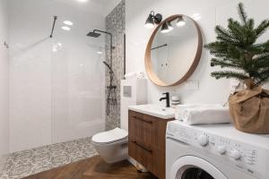 Old Town Szczecin Green