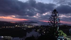 7Days-Suite & SeaView