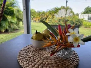 Bungalow cosy dans jardin tropical - Surgy