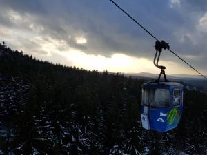 Harz mit Herz, Infrarotsauna, E-Kamin, Herzdusche