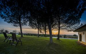 Vila Gale Alentejo Vineyard - Clube de Campo