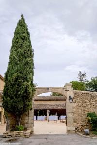 Domaine de la Reynaude