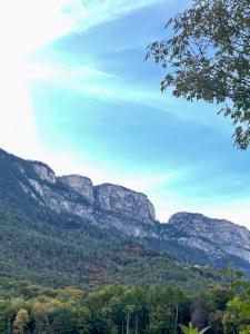 Kreuzstein Bed&Breakfast
