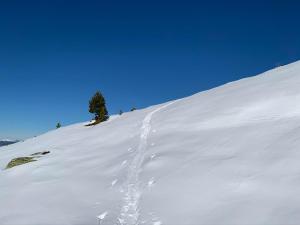 Ferienhaus Brandacher